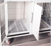 Picture of Grooming Dog Cages Medium